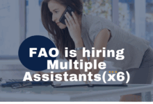 FAO is currently hiring Multiple Assistants(x6)
