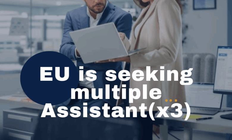 The EU is actively hiring multiple assistants (x3). APPLY NOW