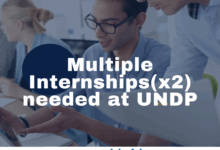 Multiple Internships(x2) are currently needed at UNDP
