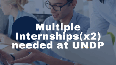 Multiple Internships(x2) are currently needed at UNDP